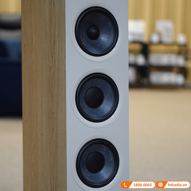 Loa Focal Chora 826-D Atmos (Độ nhạy 91dB, Tần số 48Hz-28KHz, 100Hz-20KHz)-5