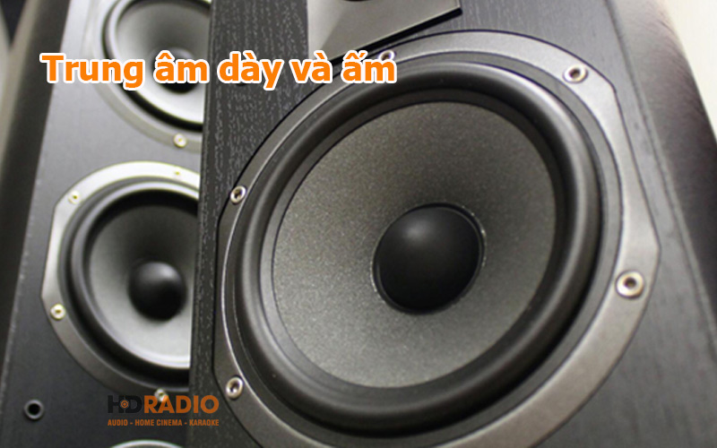 trung am loa focal chorus 605