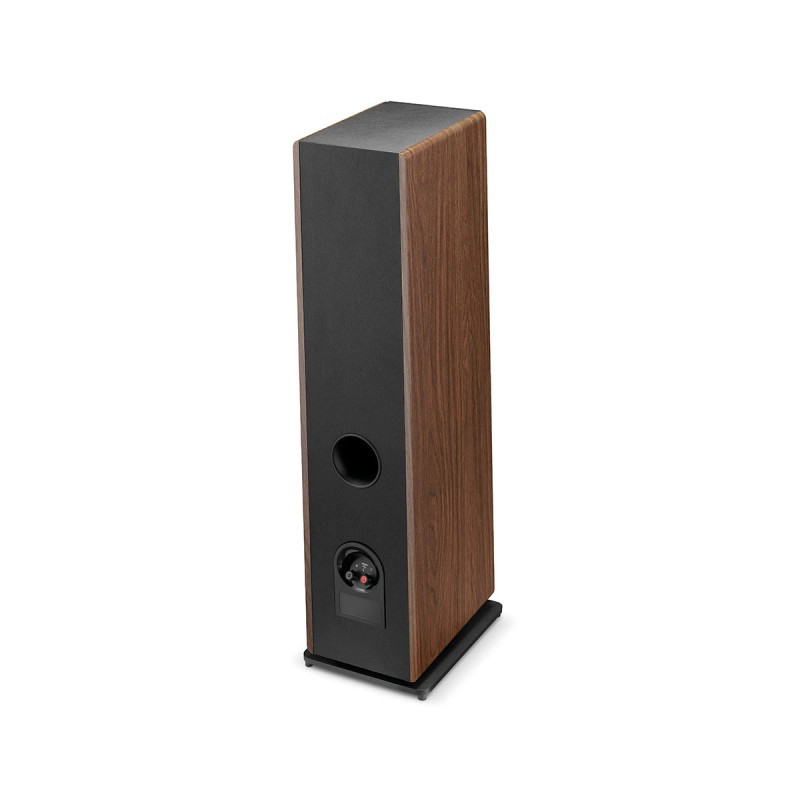 Loa Focal Theva No2 (Độ Nhạy 90 dB, 53 Hz - 28 kHz)-3