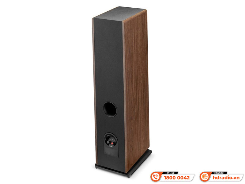 Kết nối Loa Focal Theva No2