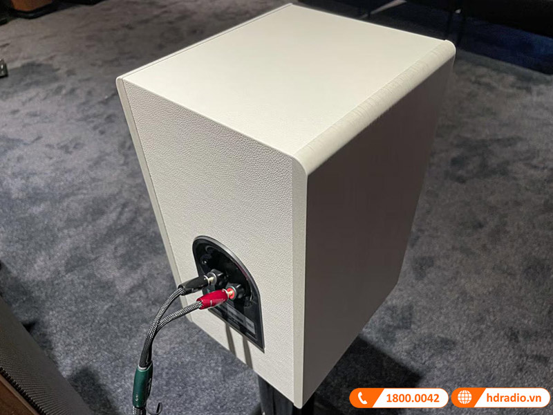 Kết nối loa Focal Vestia No1