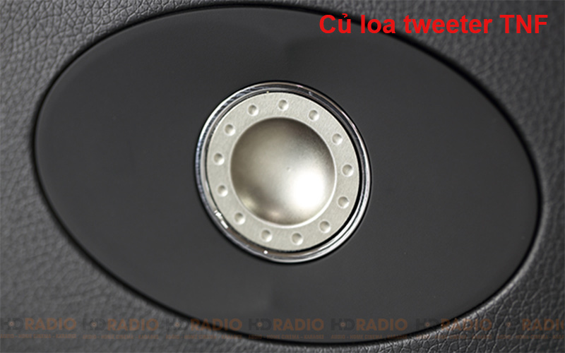 cu loa tweeter tnf