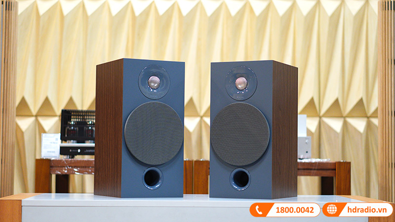 Loa Focale Chora 806