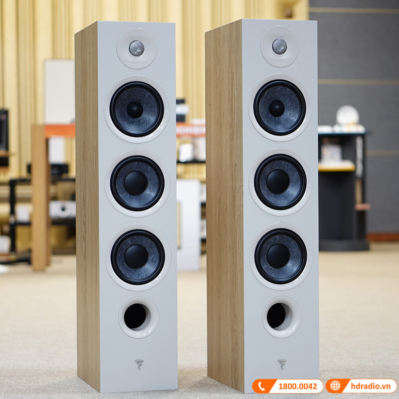 Loa Focal Chora 826 (Độ nhạy 91dB, Tần số 48Hz-28KHz)-3