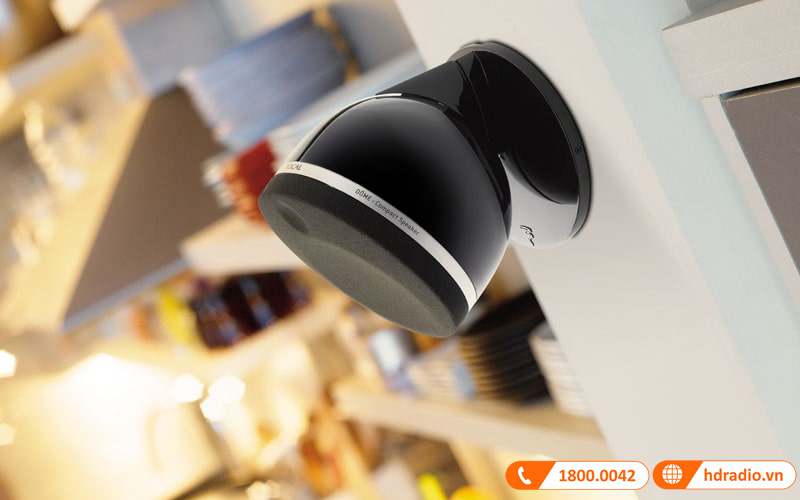 Loa Focal Dôme Flax