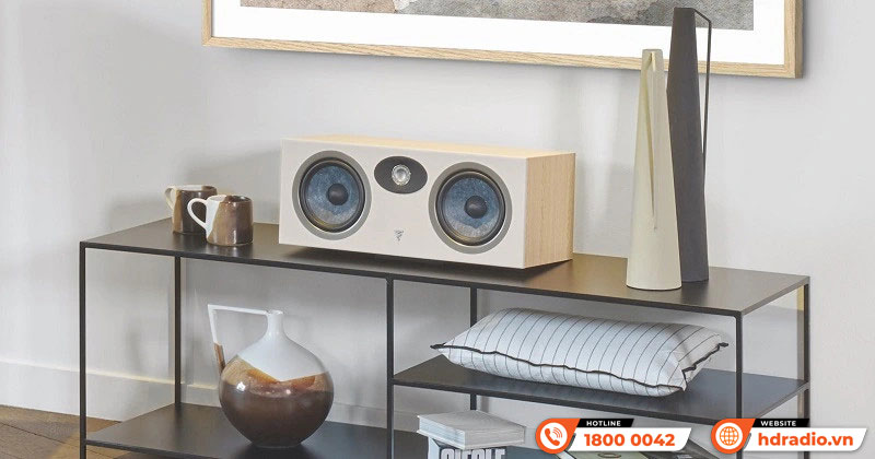 Thiết kế Loa Focal Theva Center