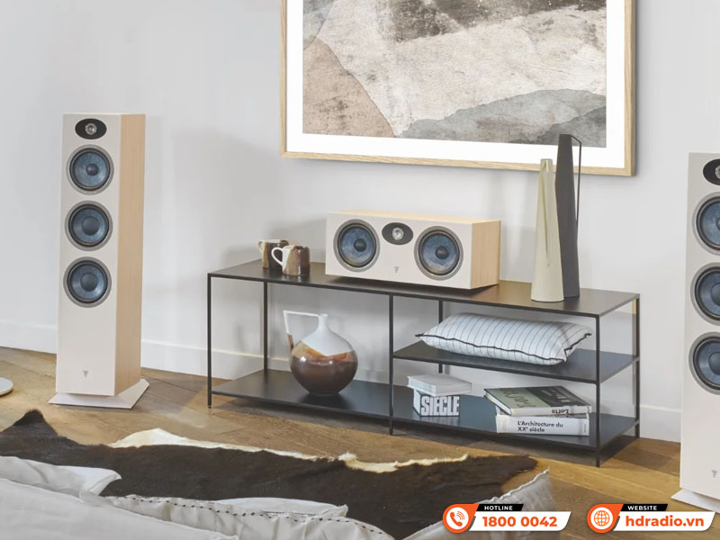 Loa Focal Theva No3-D