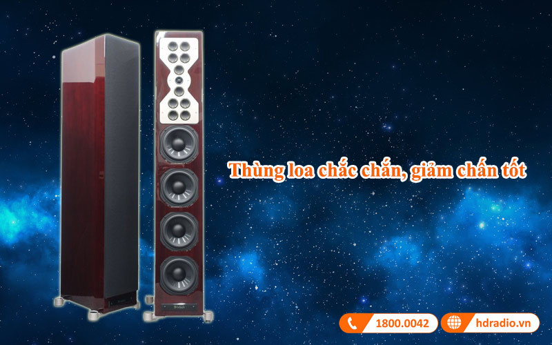 thung loa loa dung mcintosh xr100