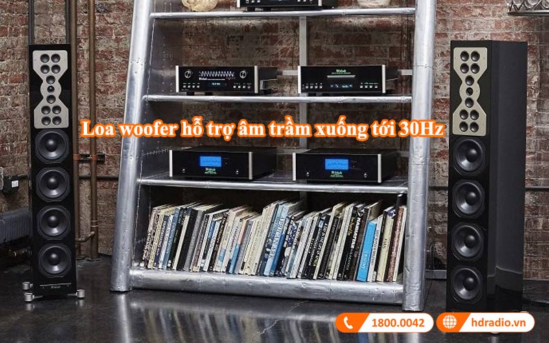 loa woofer loa đứng mcintosh xr100