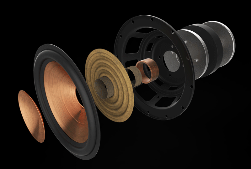 cau truc cu loa woofer