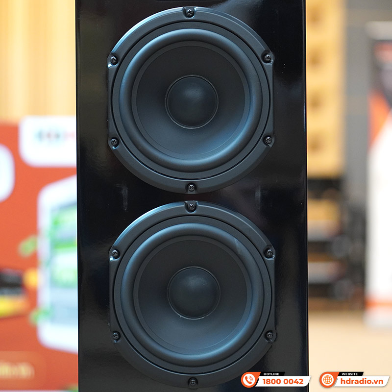 Loa Piega Classic 7.0 (Độ nhạy 91dB, Tần số 34Hz-40KHz)-4
