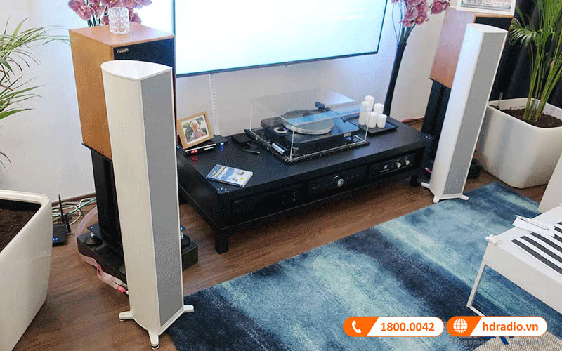 ung dung loa piega premium 501