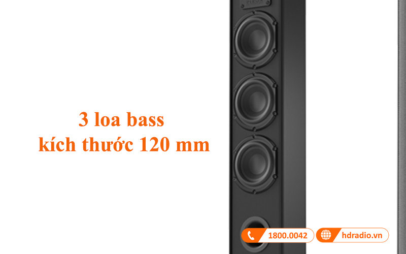 bass loa piega tmicro 60 amt