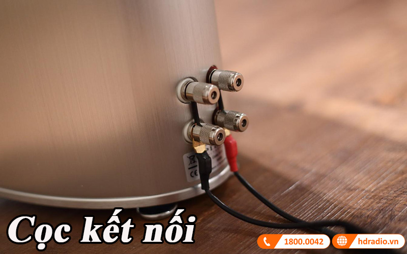 coc ket noi loa piega coax 711 ltd