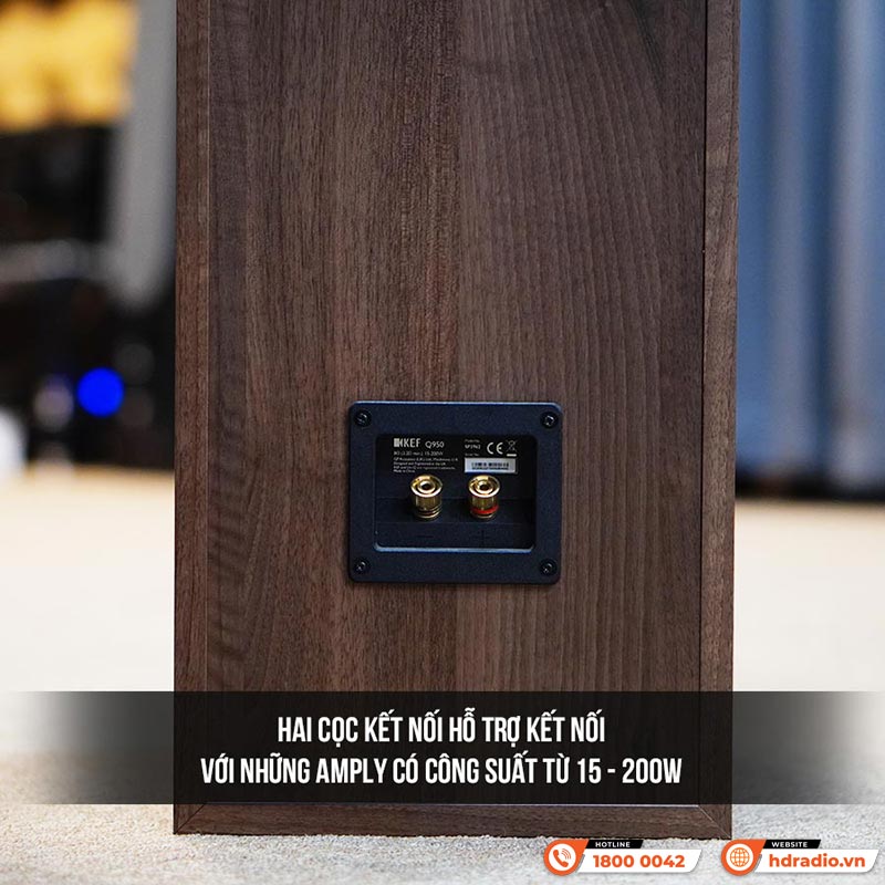 Loa KEF Q950 (Độ nhạy 91dB, Tần số 44Hz-28KHz)-19