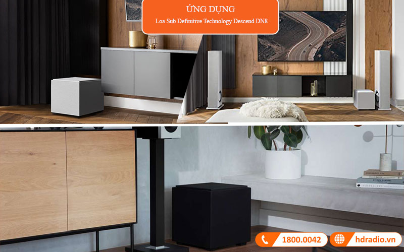 ung dung loa sub definitive descend dn8