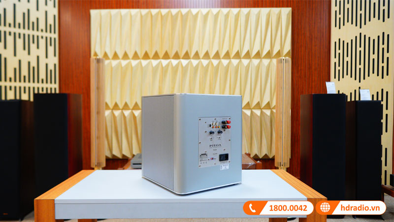 Anh thuc te 3 Loa Piega PS 101 