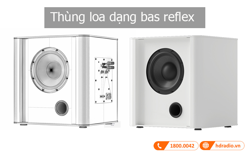 Thung Loa Piega PS 101