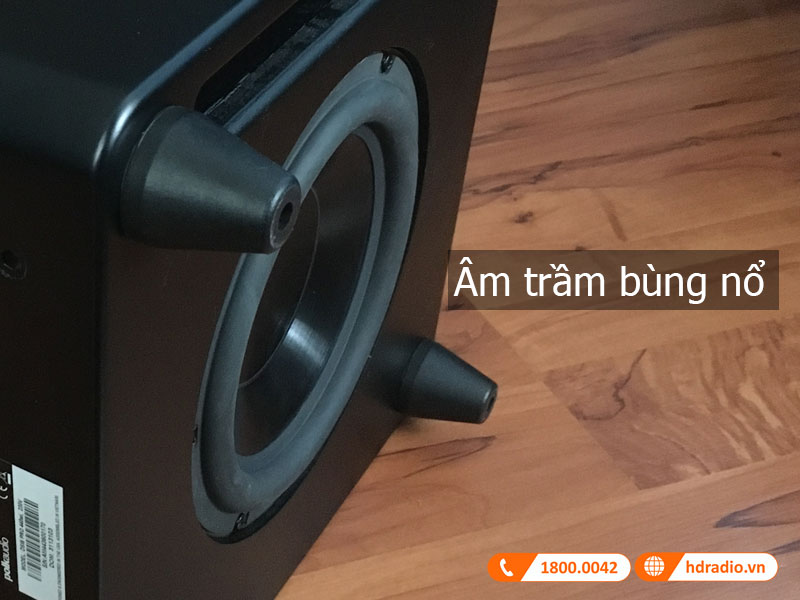 Am thanh loa DSW PRO 440