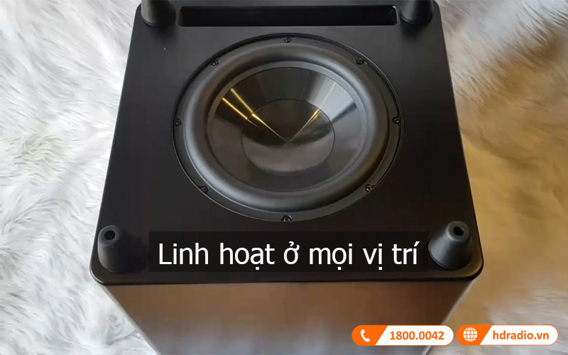 Lap dat loa DSW PRO 550