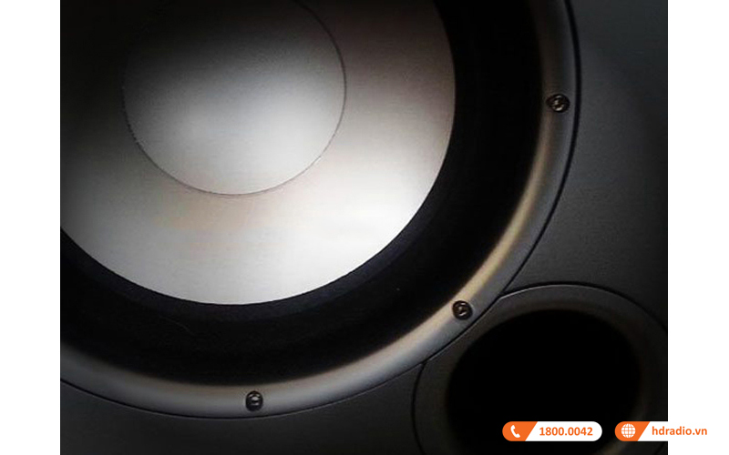 Loa sub Polk Audio PSW 10 cong suat Loa sub Polk Audio PSW 10 cong suat