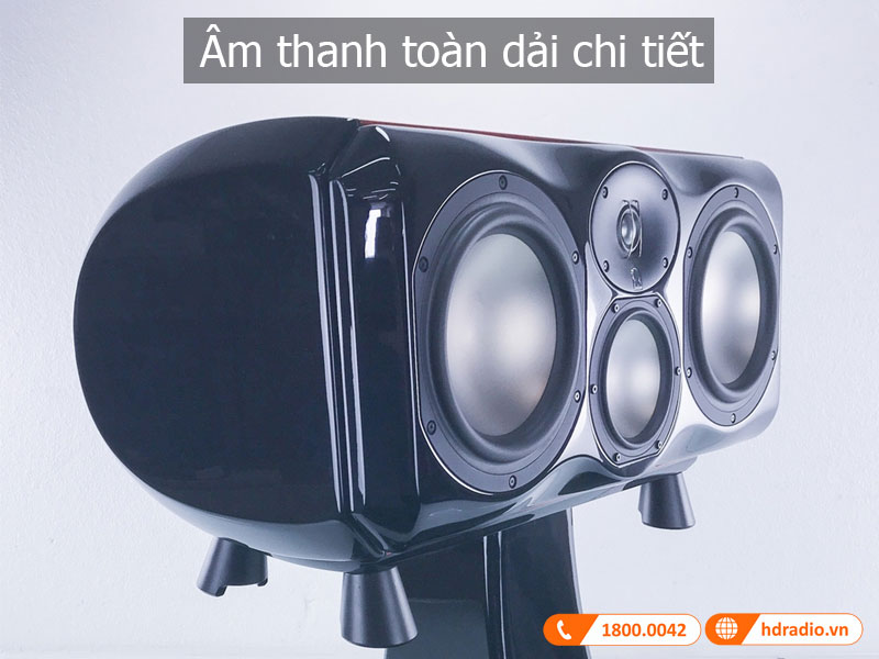 Am thanh loa Voice2