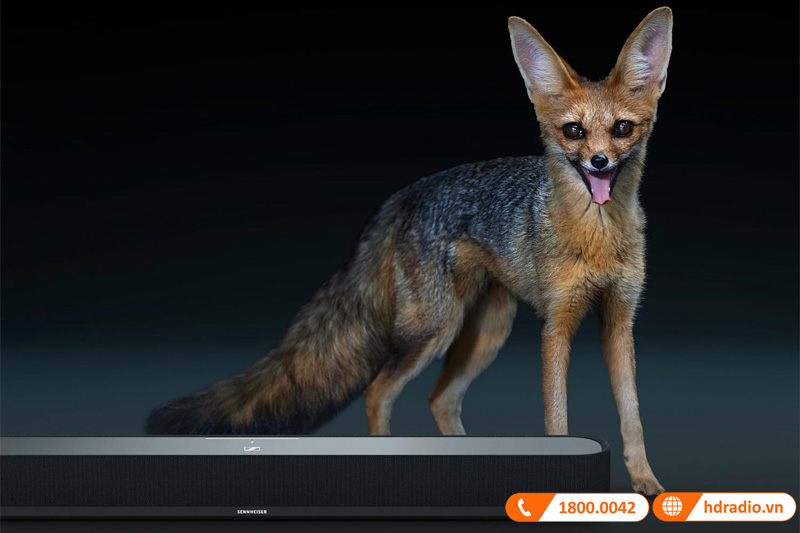 Loa Sennheiser Ambeo Soundbar Mini