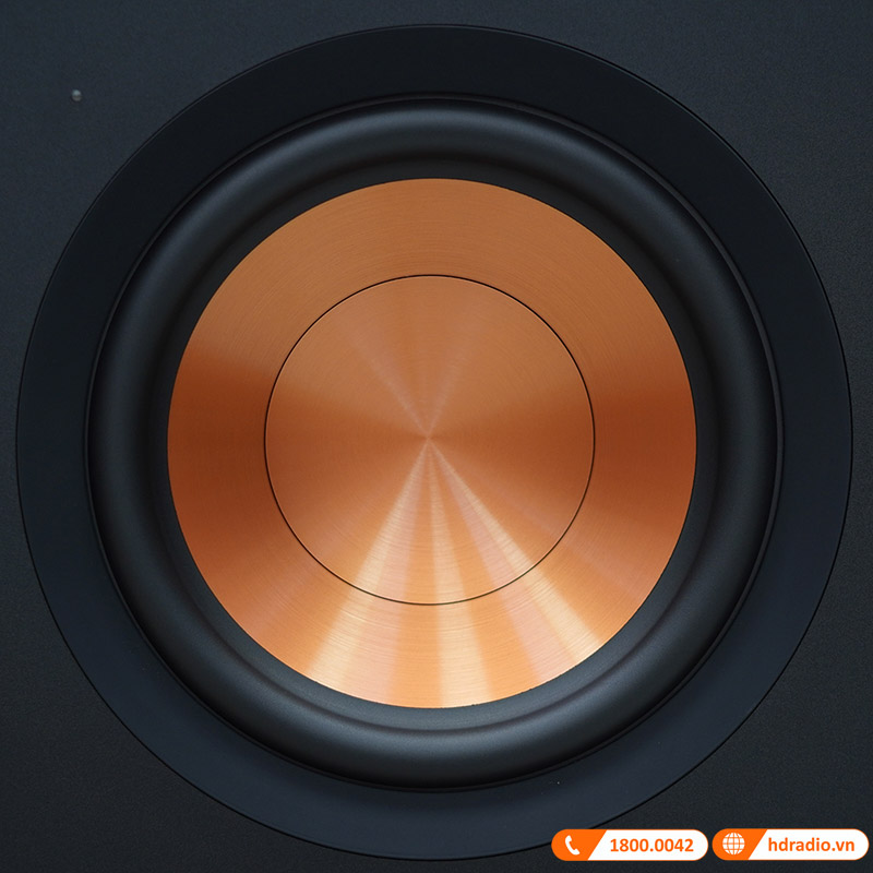 Loa Sub Klipsch R101SW, Bass 25cm, Công Suất 150W-7