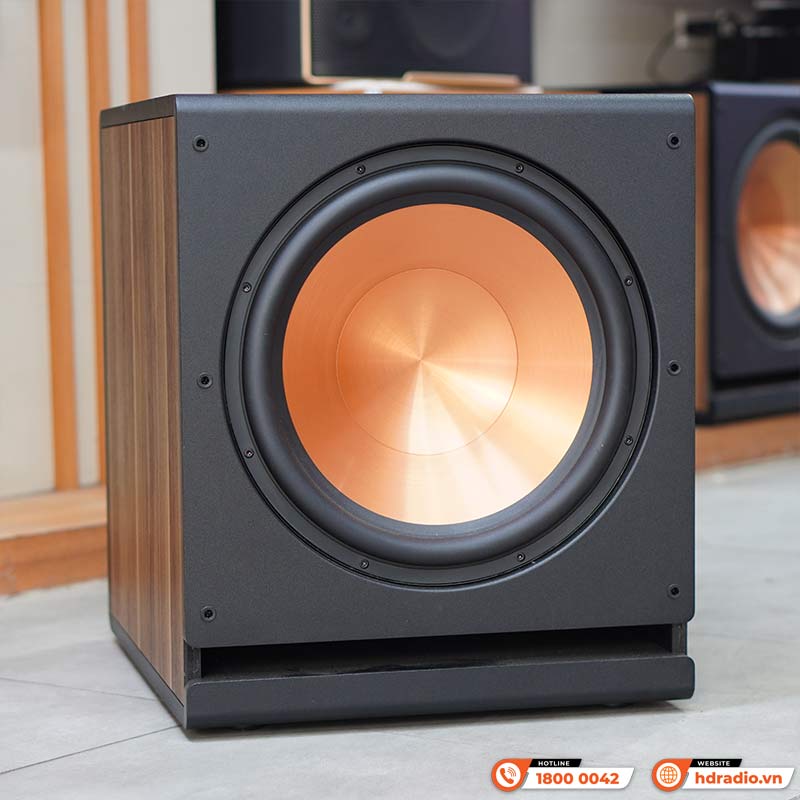 Loa Sub Paramax D40, Bass 40cm, 800W (Peak)-6