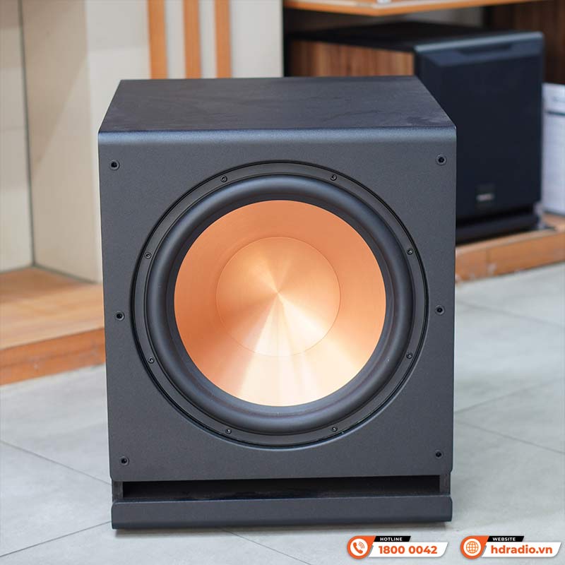 Loa Sub Paramax D40, Bass 40cm, 800W (Peak)-7