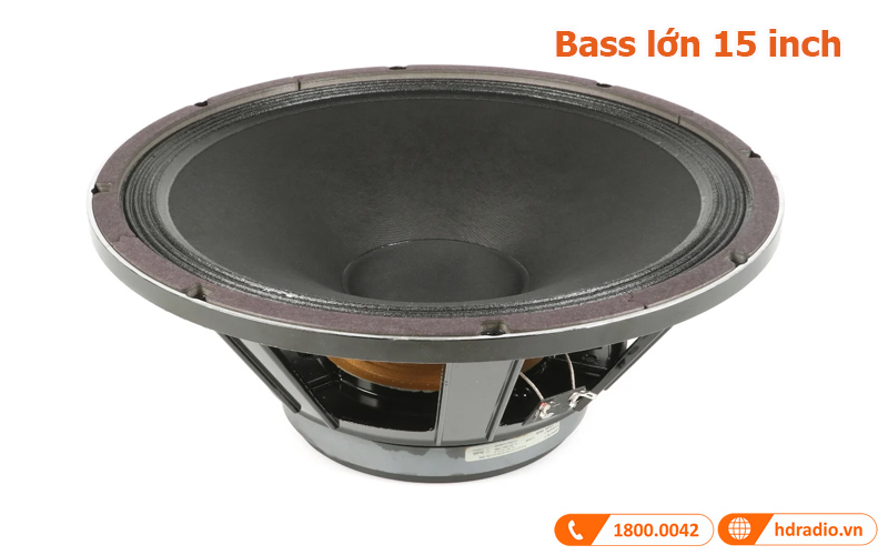 Bass kích thước lớn