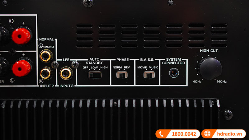 loa-yamaha-ns-sw300-11