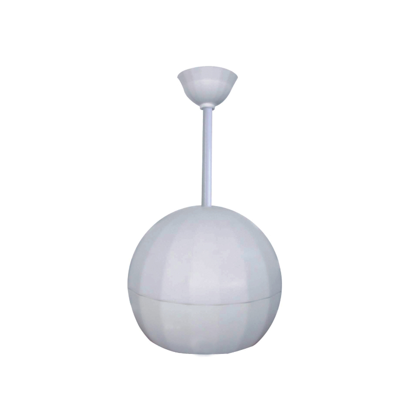 Loa thả trần ITC T-200DW