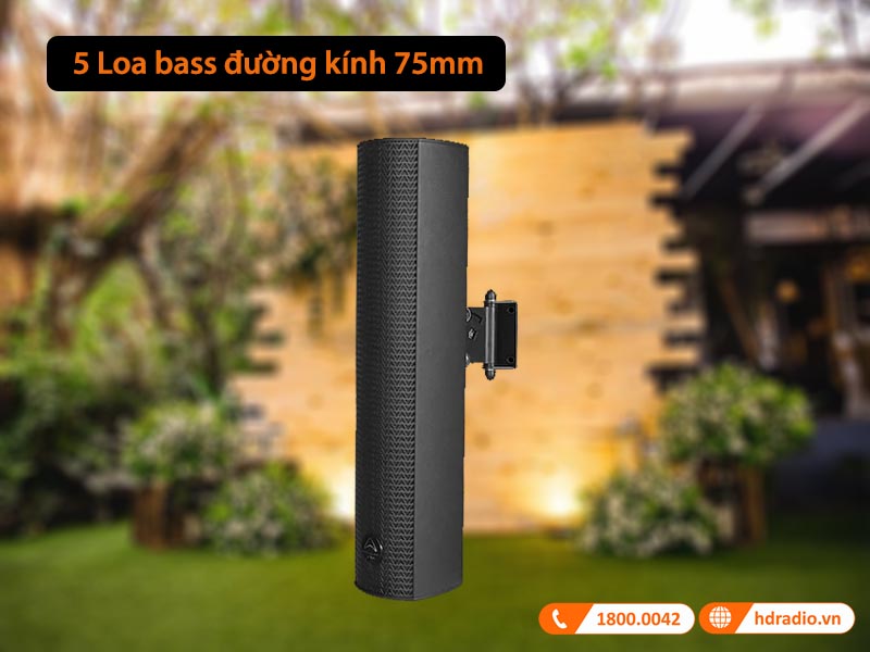 Hệ thống loa 2 đường tiếng