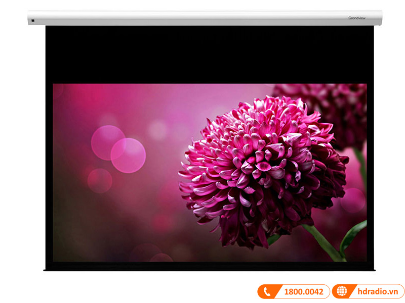Màn chiếu Grandview CB-MI200 Màn chiếu Grandview CB-MI200