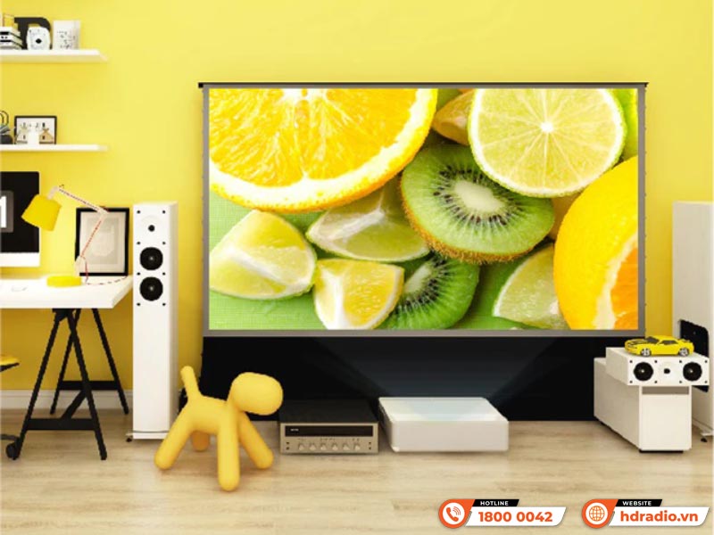 Màn chiếu Grandview FC-FH100(16:9)DY3