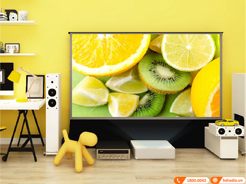 Màn chiếu Vividstorm VSDSTUST100H