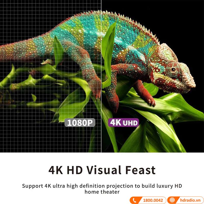 Màn chiếu quang học Vividstorm VSDSTUST110H