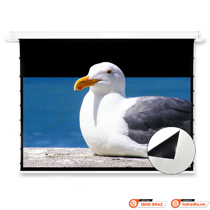 Màn chiếu âm trần Vividstorm VPCLW110H-1