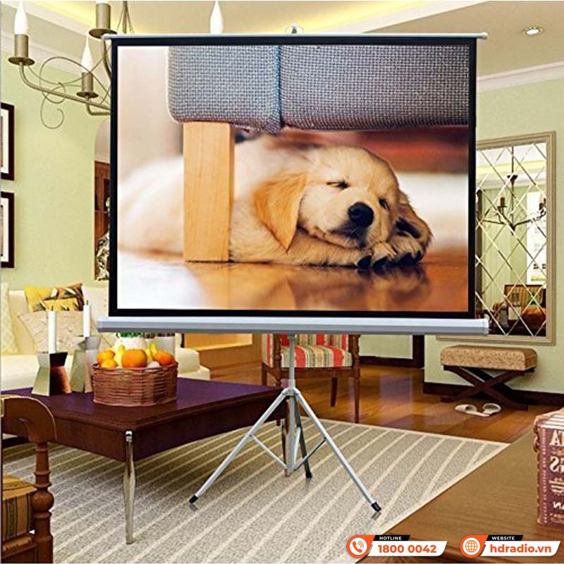 Màn chiếu 3 chân Apollo