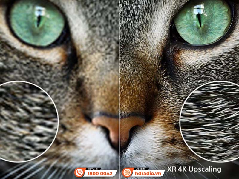 Máy chiếu 4K Sony Bravia 9 VPL-XW8100