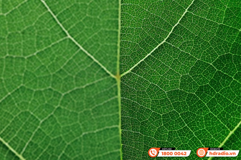 Máy chiếu 4K Sony Bravia 9 VPL-XW8100