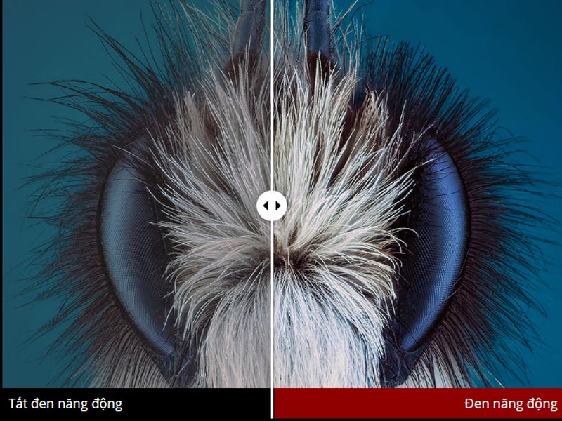 máy chiếu ViewSonic X1000-4K