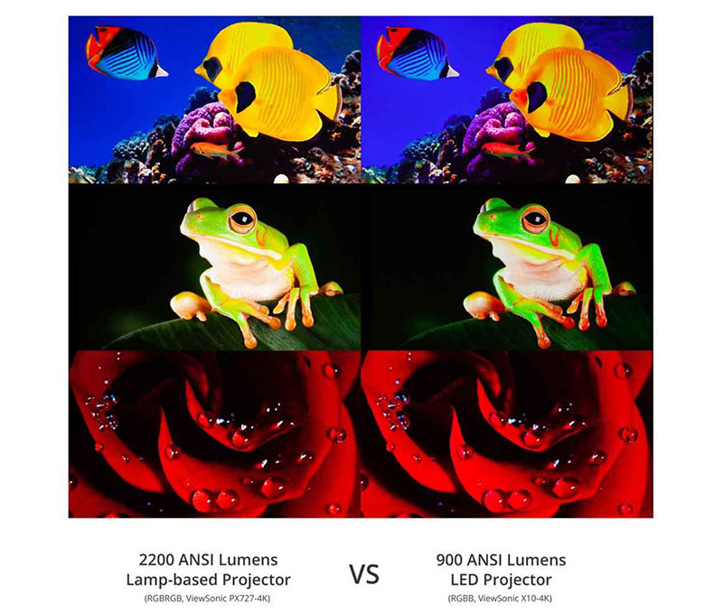 do sang den led may chieu viewsonic m2