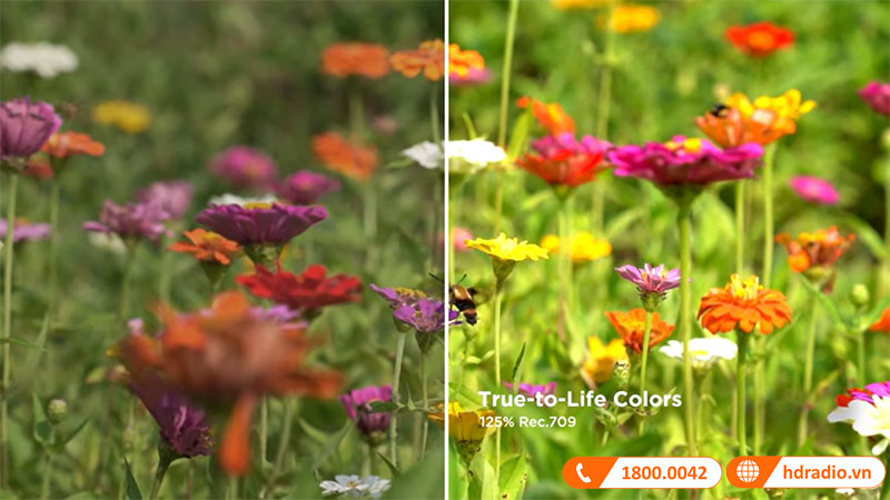 May chieu ViewSonic X11-4KP