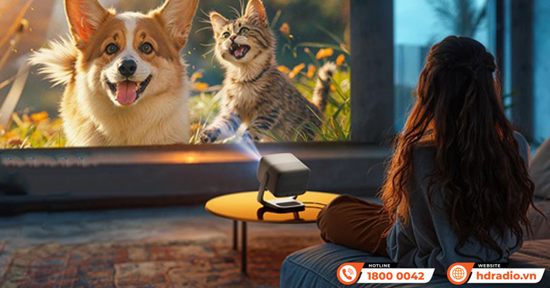 Phân giải Máy Chiếu Jmgo N1S SE