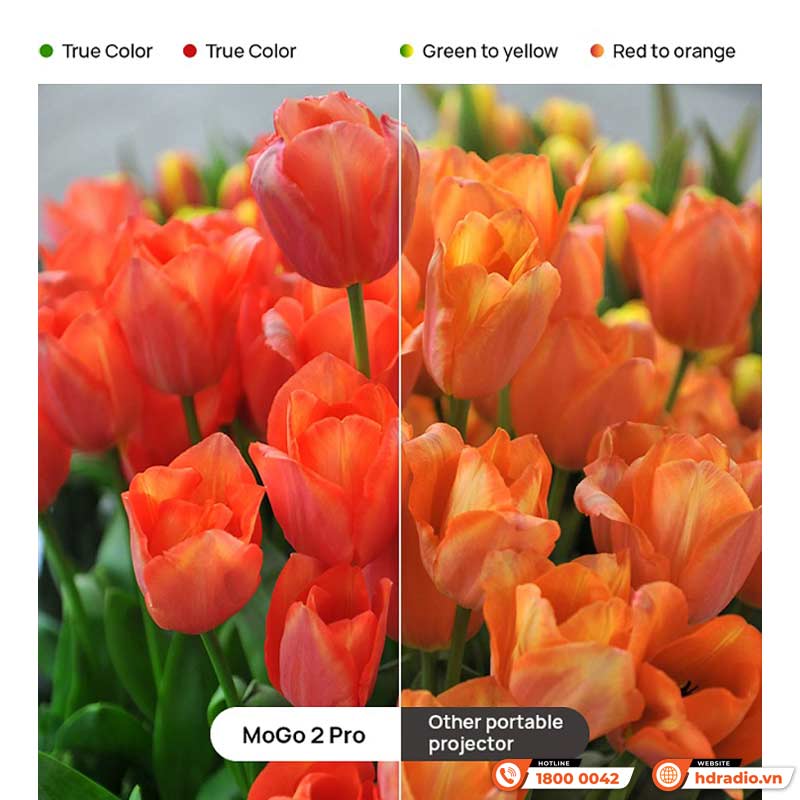 Màu sắc Máy chiếu XGIMI Mogo 2 Pro