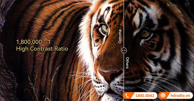 Máy chiếu Optoma L1+