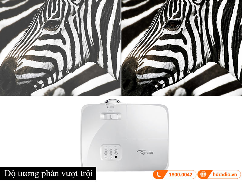 May chieu Optoma W319ST