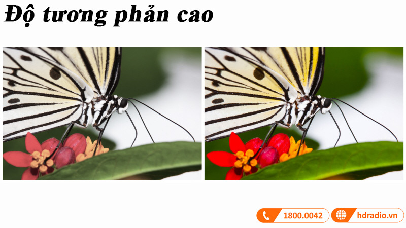 do tuong phan cao may chieu optoma eh412st 